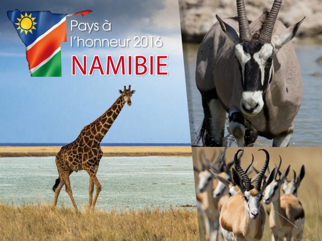 Babi-Babi safari-chasse Namibie Game Fair 2016 - FR