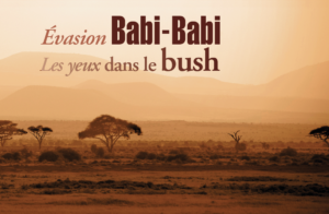 Babi-Babi hunting safari Namibia looking into the bush - EN