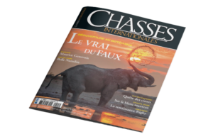 Babi-Babi safari-chasse Namibie Chasses Internationales - FR