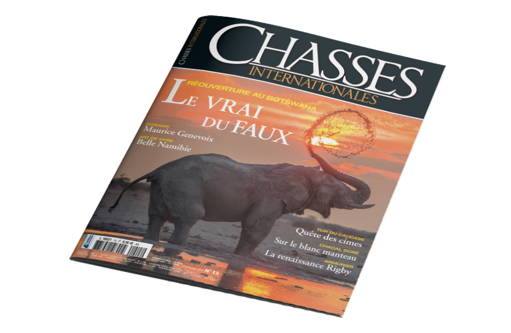 Babi-Babi safari-chasse Namibie Chasses Internationales - FR